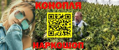 стафф Ставрополь