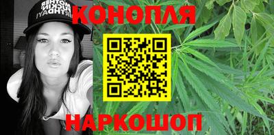 стафф Ставрополь
