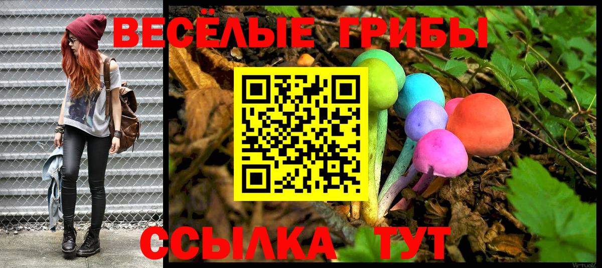 Псилоцибиновые грибы GOLDEN TEACHER Новокубанск