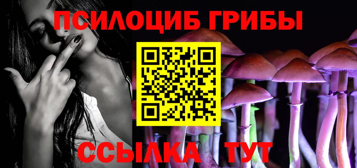 Новокубанск  Псилоцибиновые грибы MAGIC MUSHROOMS  купить наркотик  Вход с VPN 